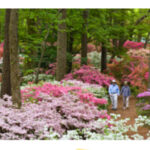 Columbus Botanical Garden Seasonal Events