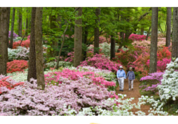 Columbus Botanical Garden Seasonal Events