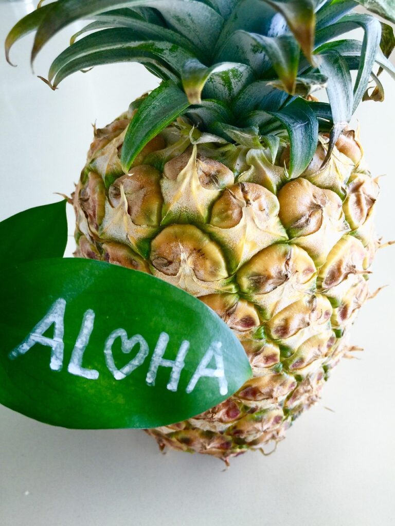 hawaii, aloha, painapple summer, summer, toropical, tropical, aloha, aloha, aloha, aloha, aloha