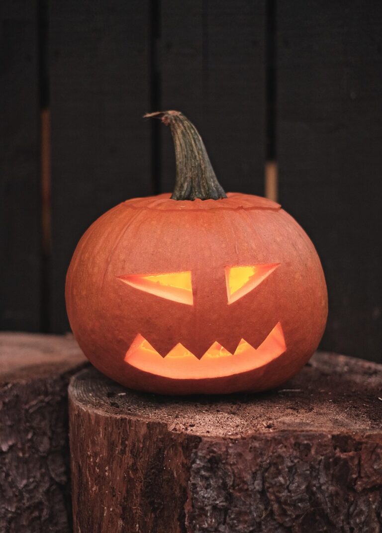 halloween, pumpkin, jack-o-lantern, halloween lantern, carved pumpkin, halloween decoration, halloween decor