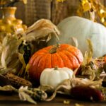 Still life of pumpkins and gourds with autumn leaves, capturing the essence of fall.