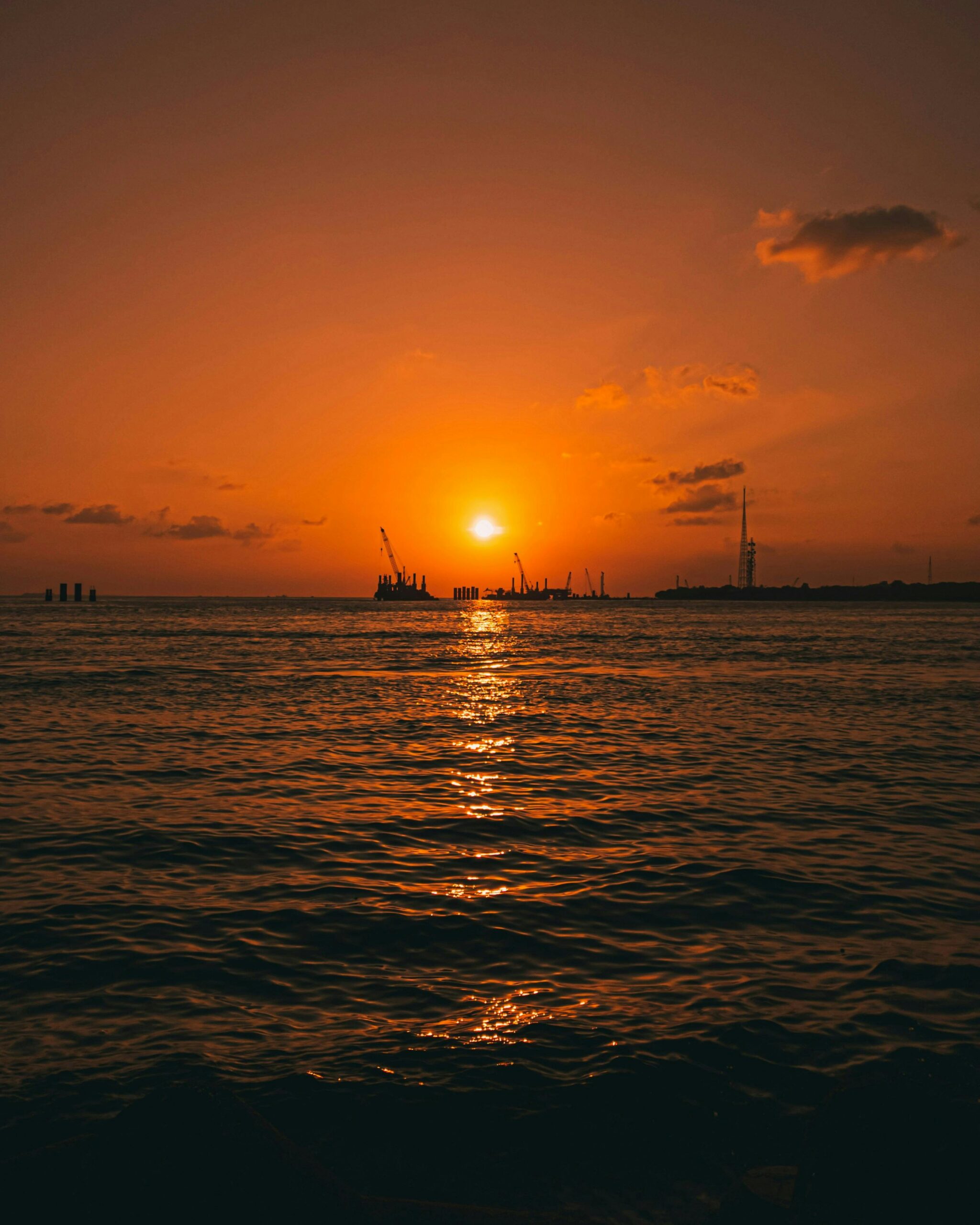 pexels-photo-34569870-34569870